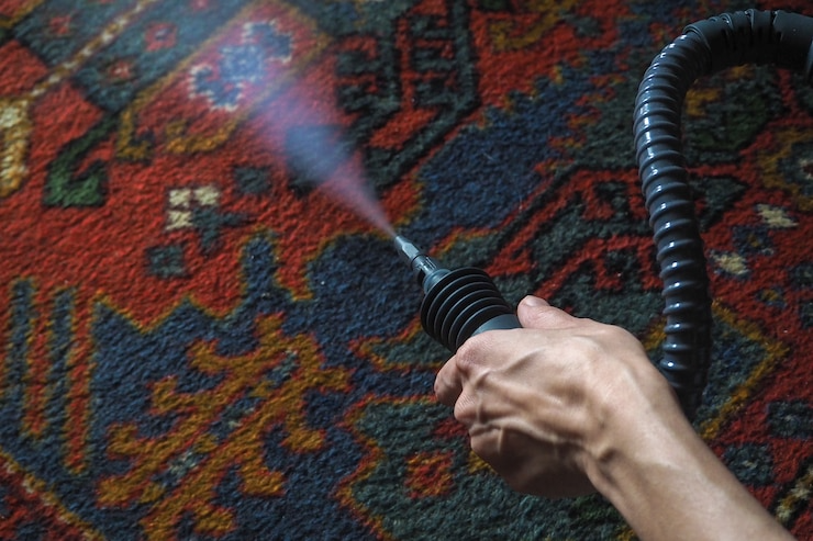 قالیشویی در باغستان غربی کرج