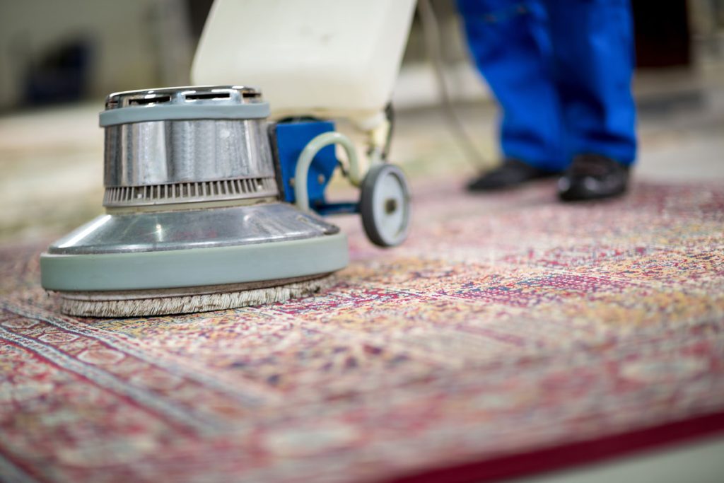 اسان ترین راه از بین بردن بوی بد فرش