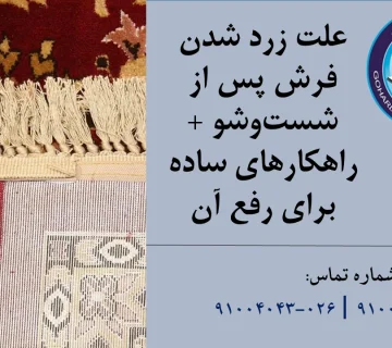 زرد شدن فرش